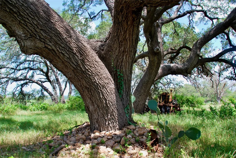2725 Old Lehmann Road Kingsbury, TX 78638